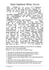 West Highland White Terrier.pdf